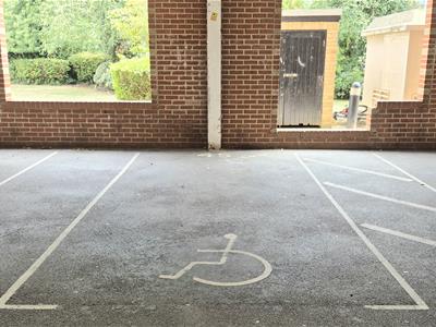 Picture 15
